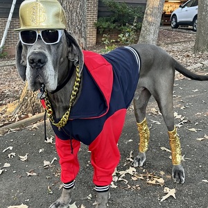 Fundraising Page: Theresa Houser